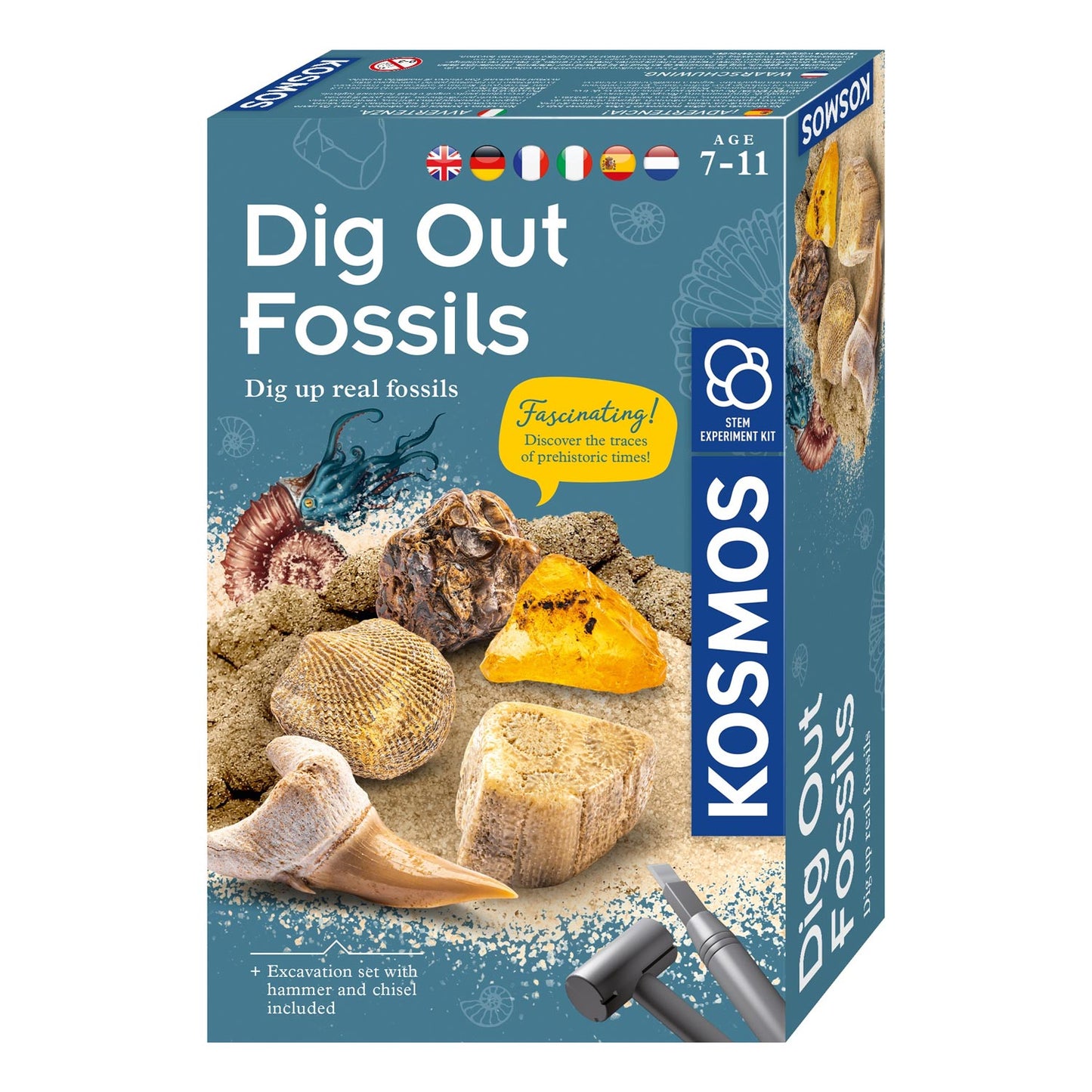 Kosmos Fossilien schneiden