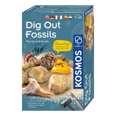 Kosmos Fossilien schneiden