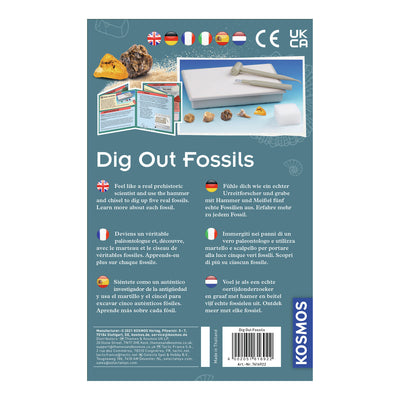 Kosmos Fossilien schneiden