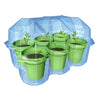 Selecta Cosmos Mimosa Gartenspielset