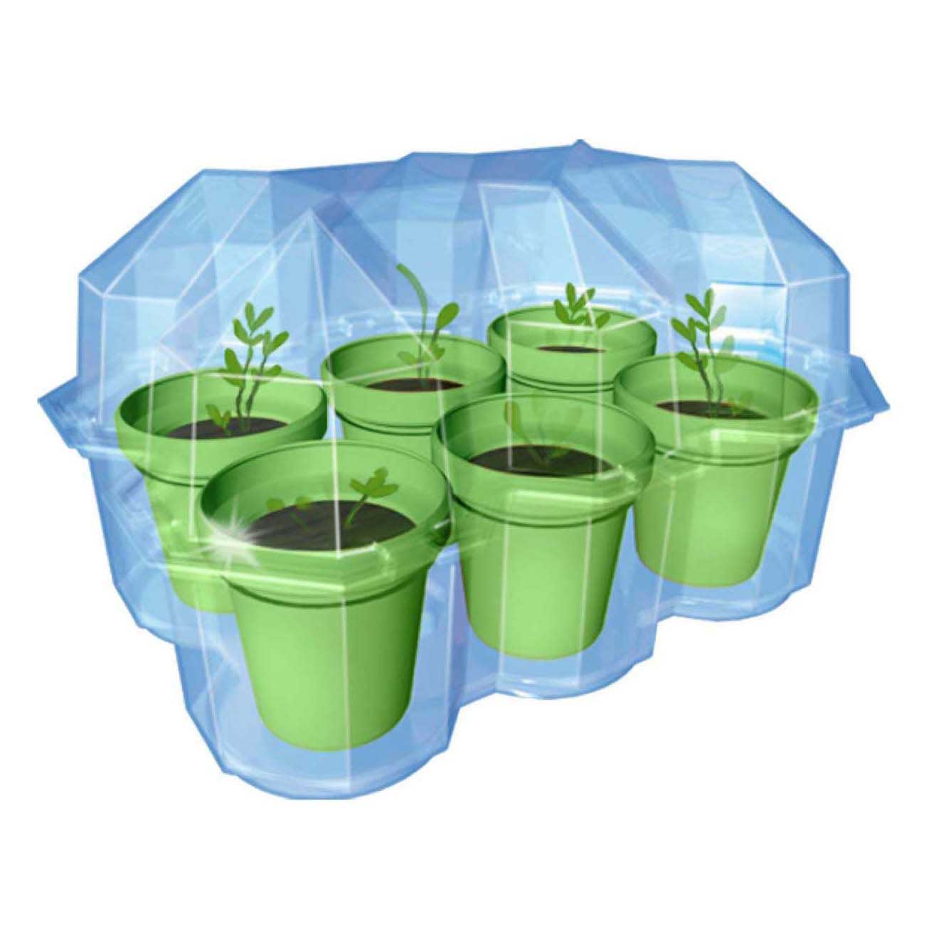 Selecta Cosmos Mimosa Gartenspielset