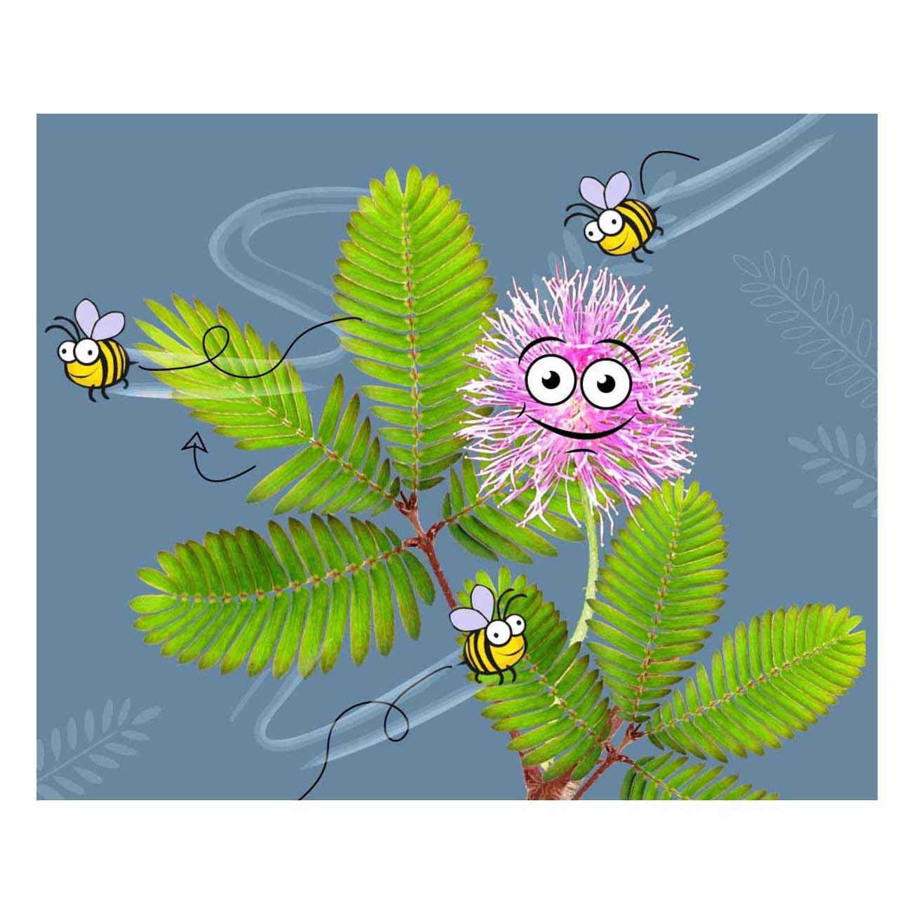 Selecta Cosmos Mimosa Gartenspielset