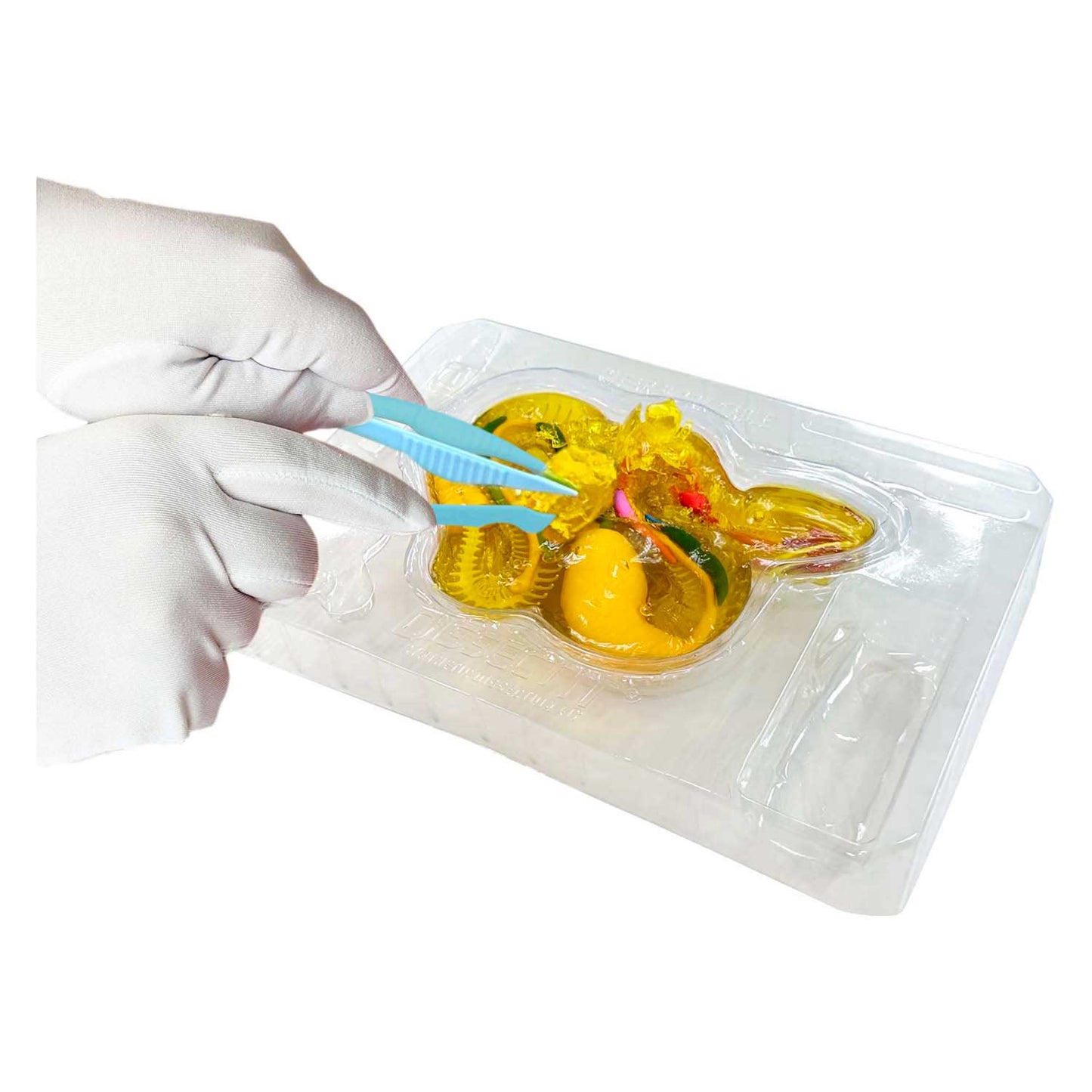 Dissect-it zerlegt eine Klapperschlangen-Mega-Geschenkbox