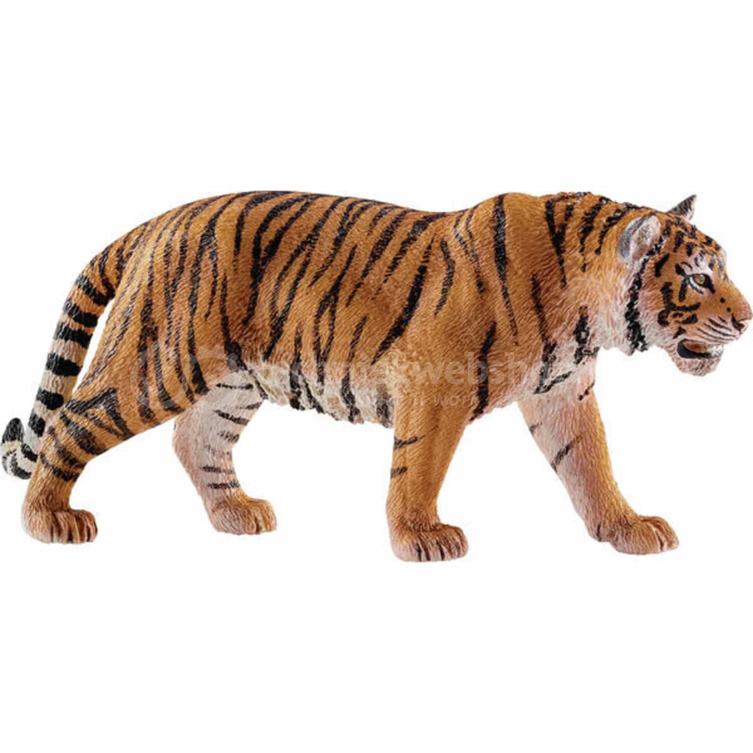 Bengalian Tiger 14729