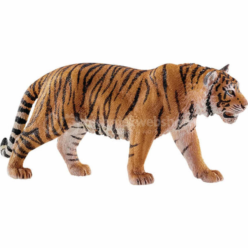 Bengalian Tiger 14729