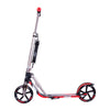 Hudora Scooter Big Wheel Step Rx205 - Schwarzrot