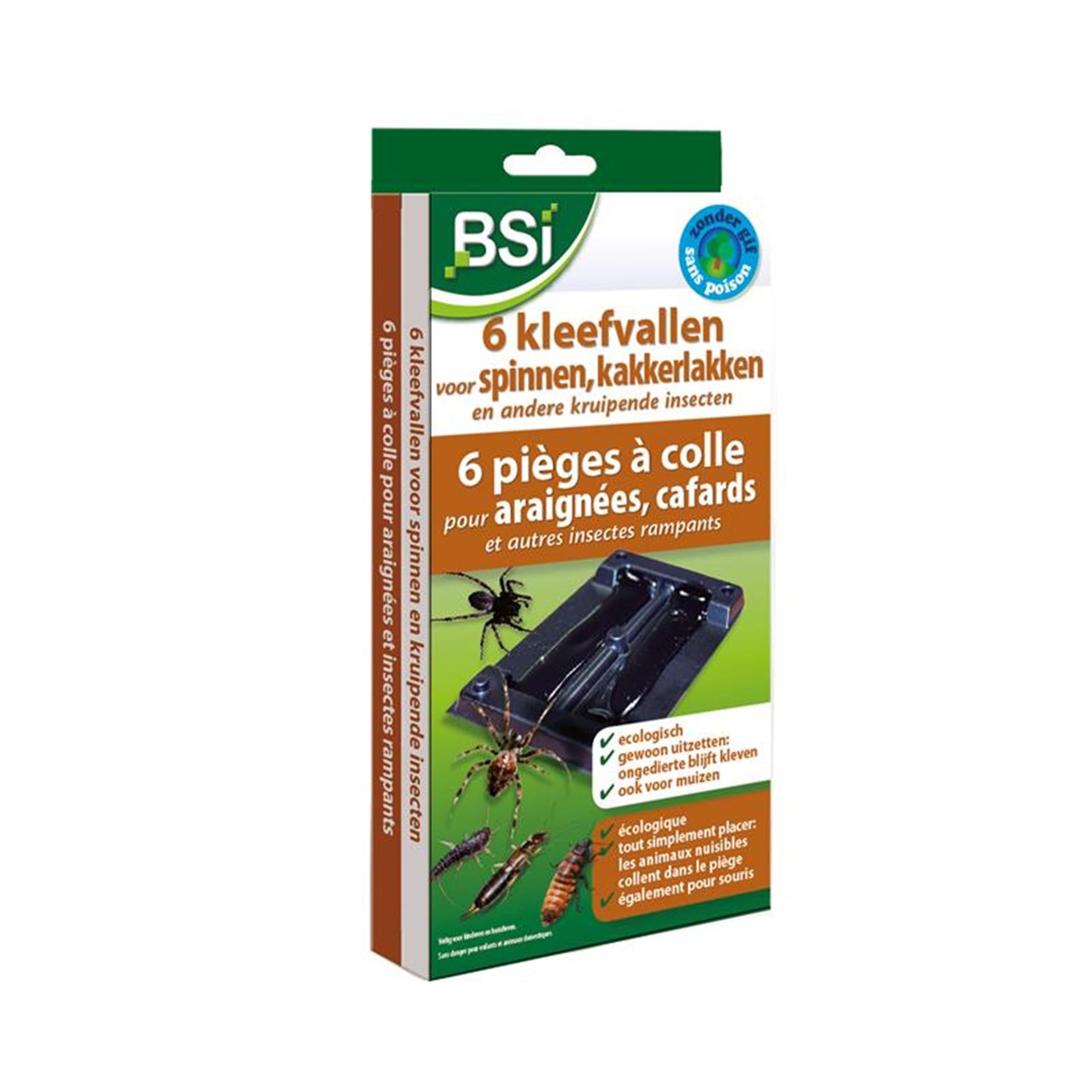 Bsi 6 Klebefallen für Spinnen
