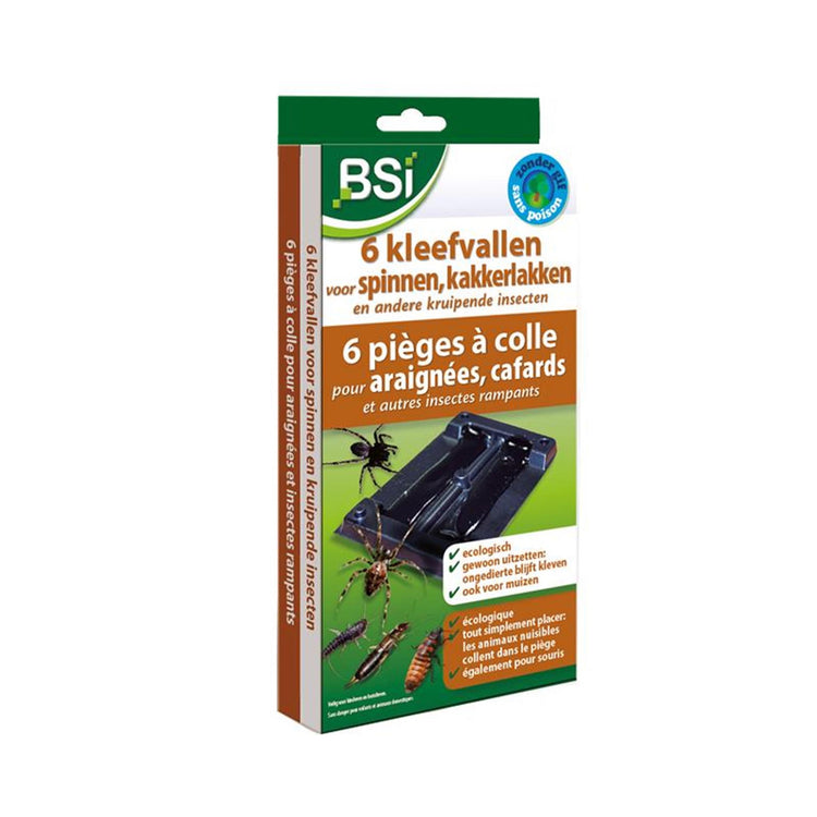 Bsi 6 Klebefallen für Spinnen