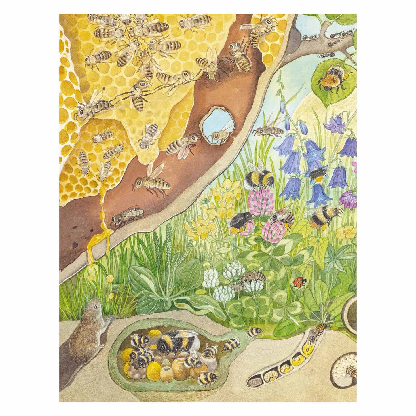 Deltas Schau- und Suchbuch – Tiere kitzeln