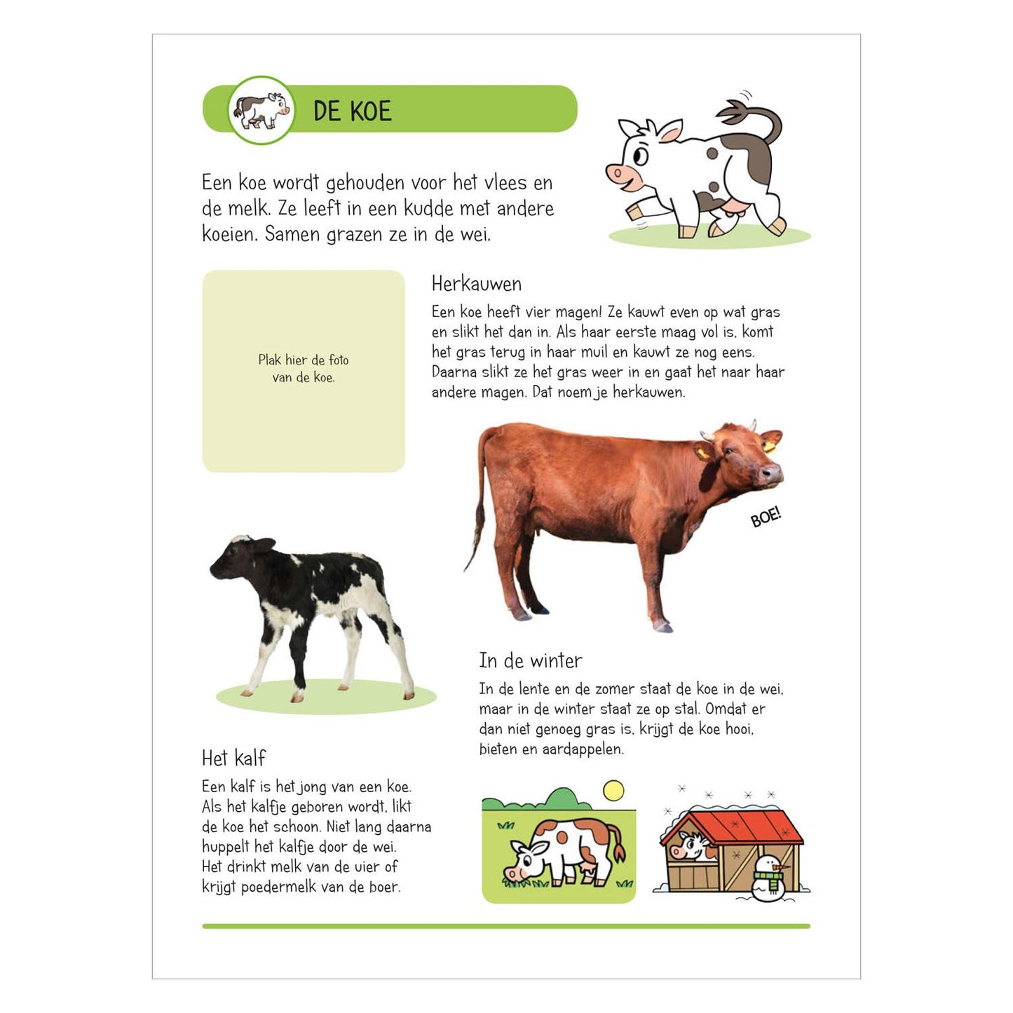 Aufkleberbuch - Tiere auf der Farm