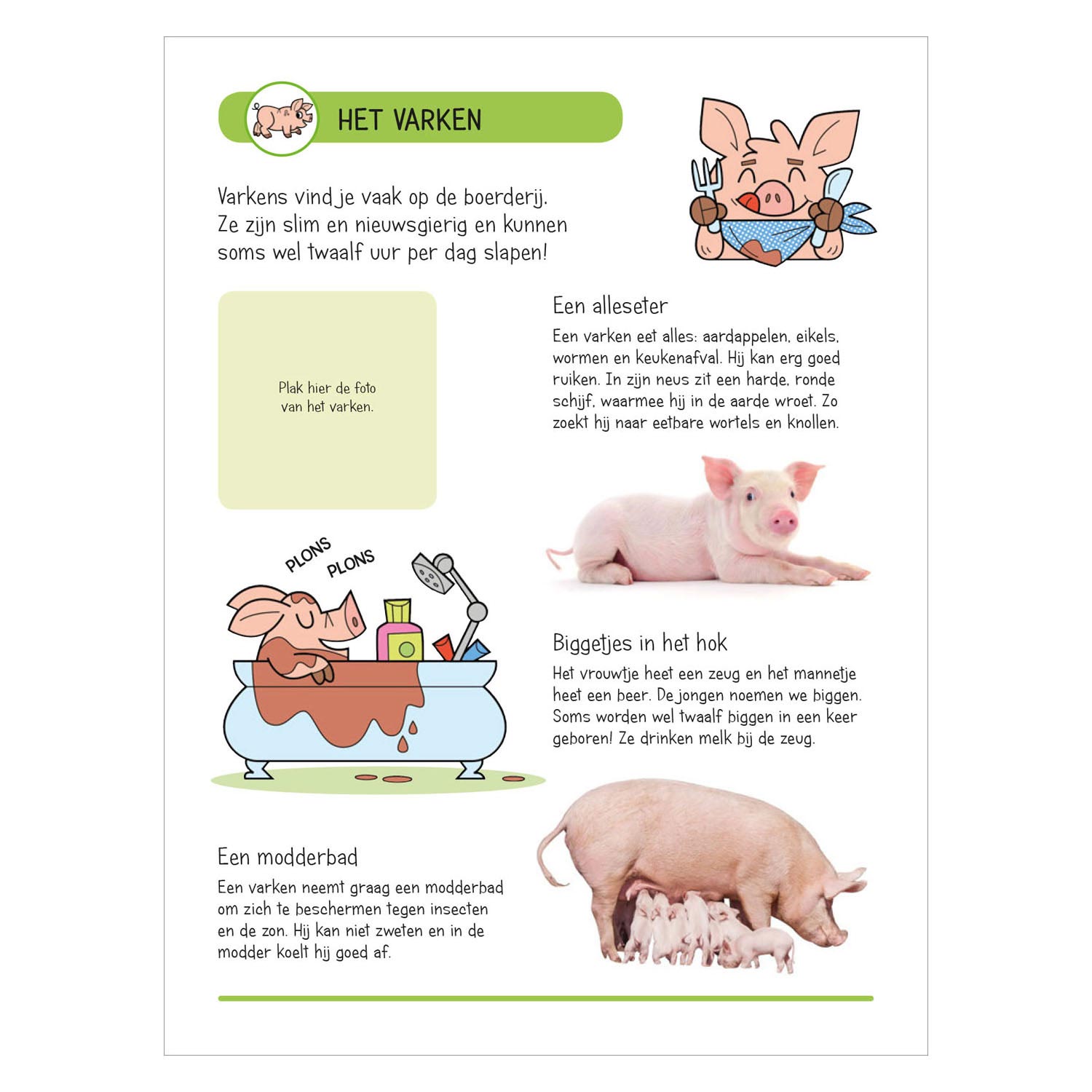 Aufkleberbuch - Tiere auf der Farm