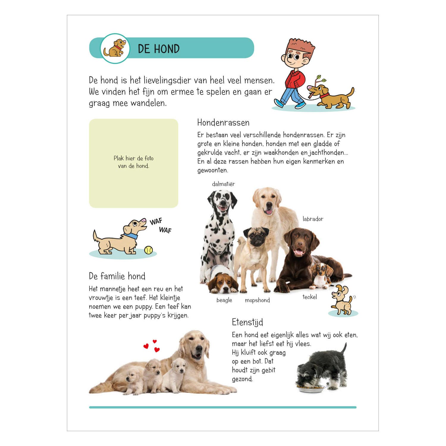 Aufkleberbuch - Tiere im Haus und Garten
