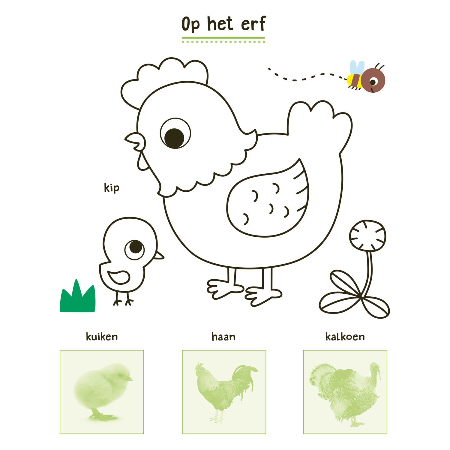 Deltas mein Tieraufkleberbuch