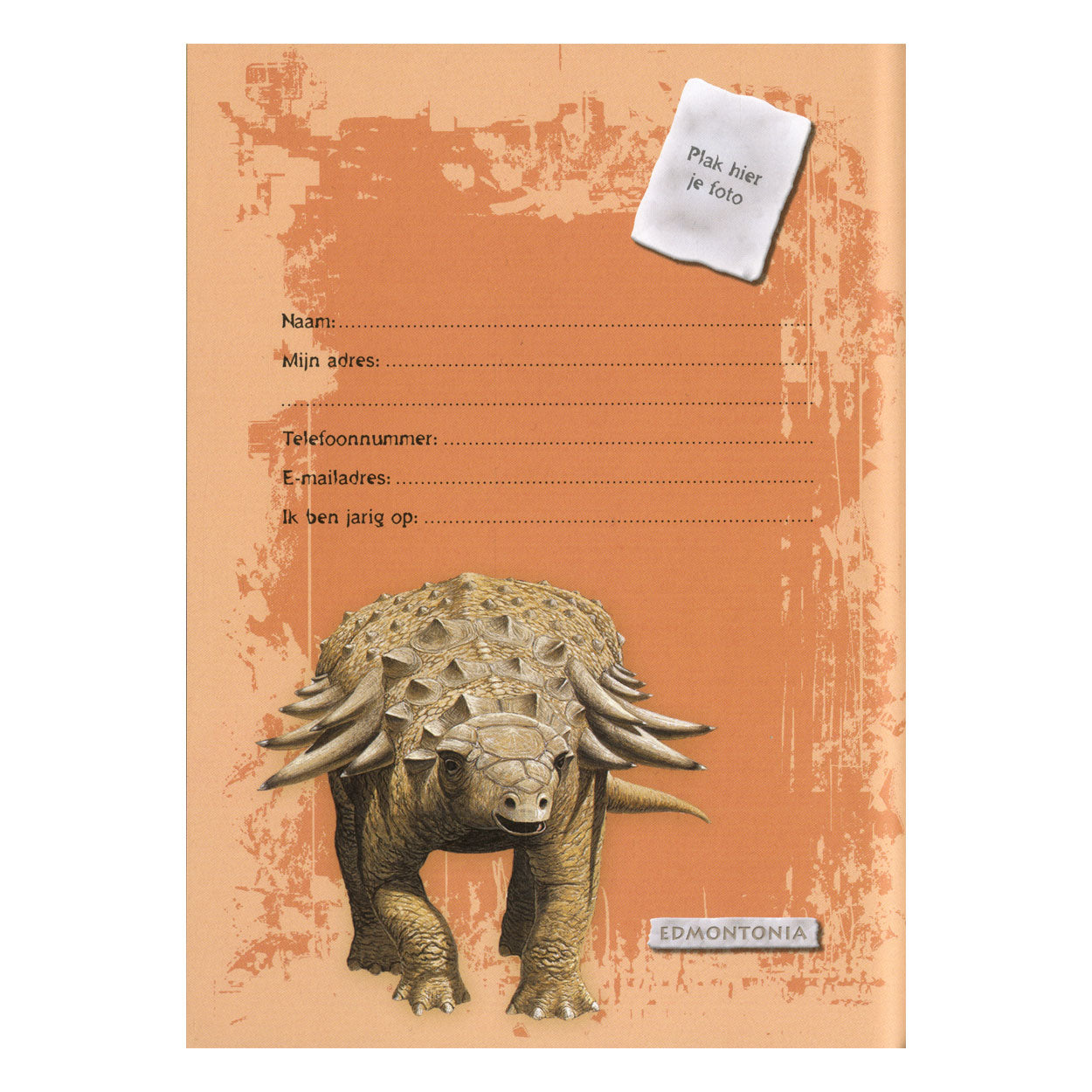 Dino Freunde Buch