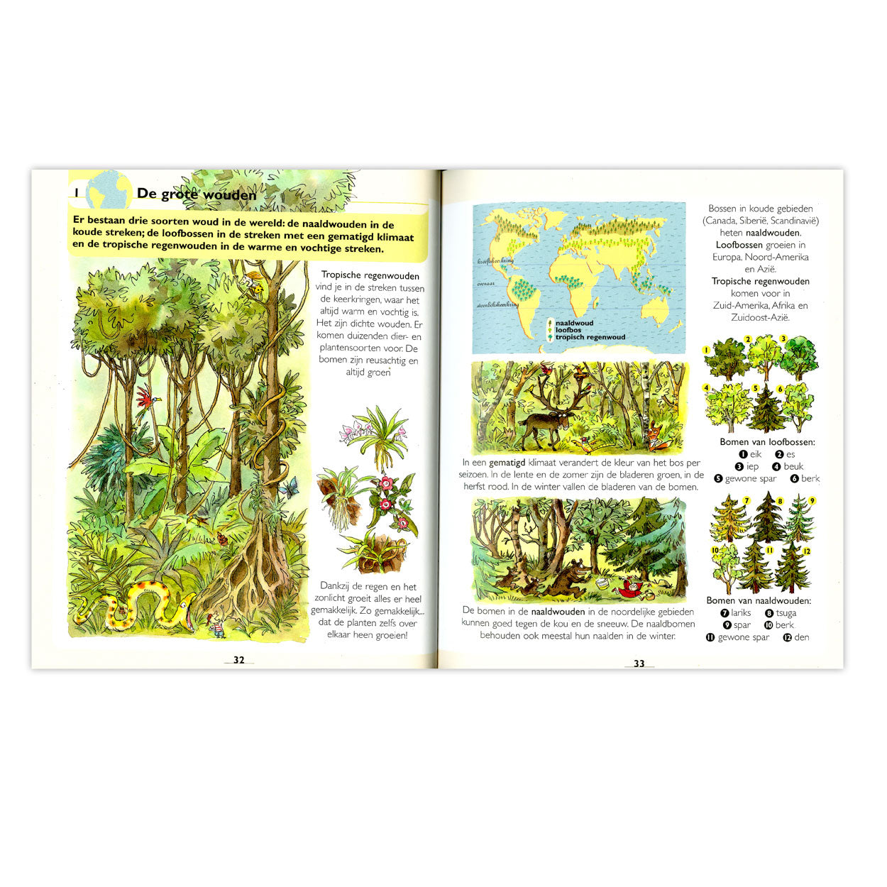 Erster großer Atlas für Kinder
