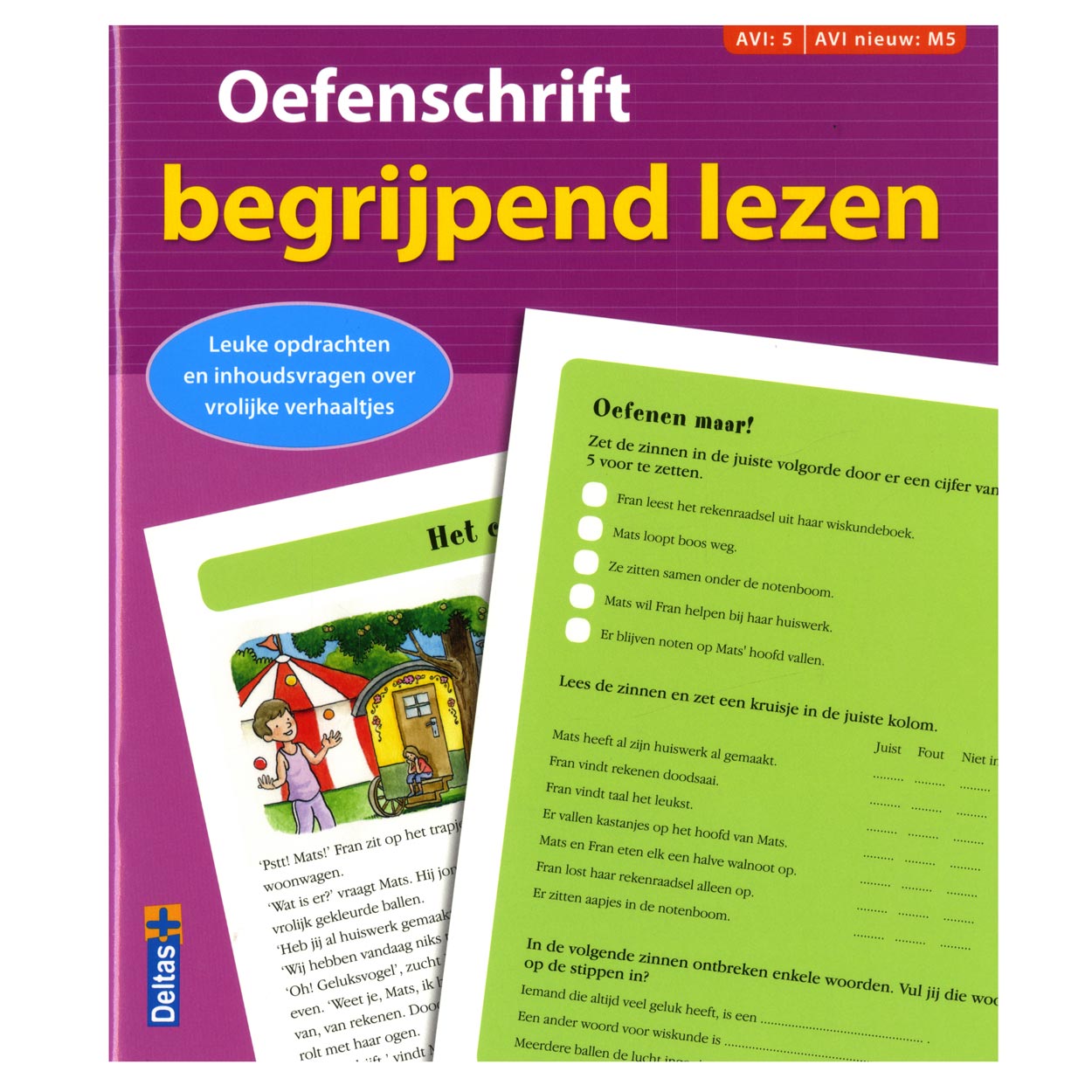 Übung Leseverständnis Avi M5