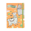 Taschenfarbenspiele Buch