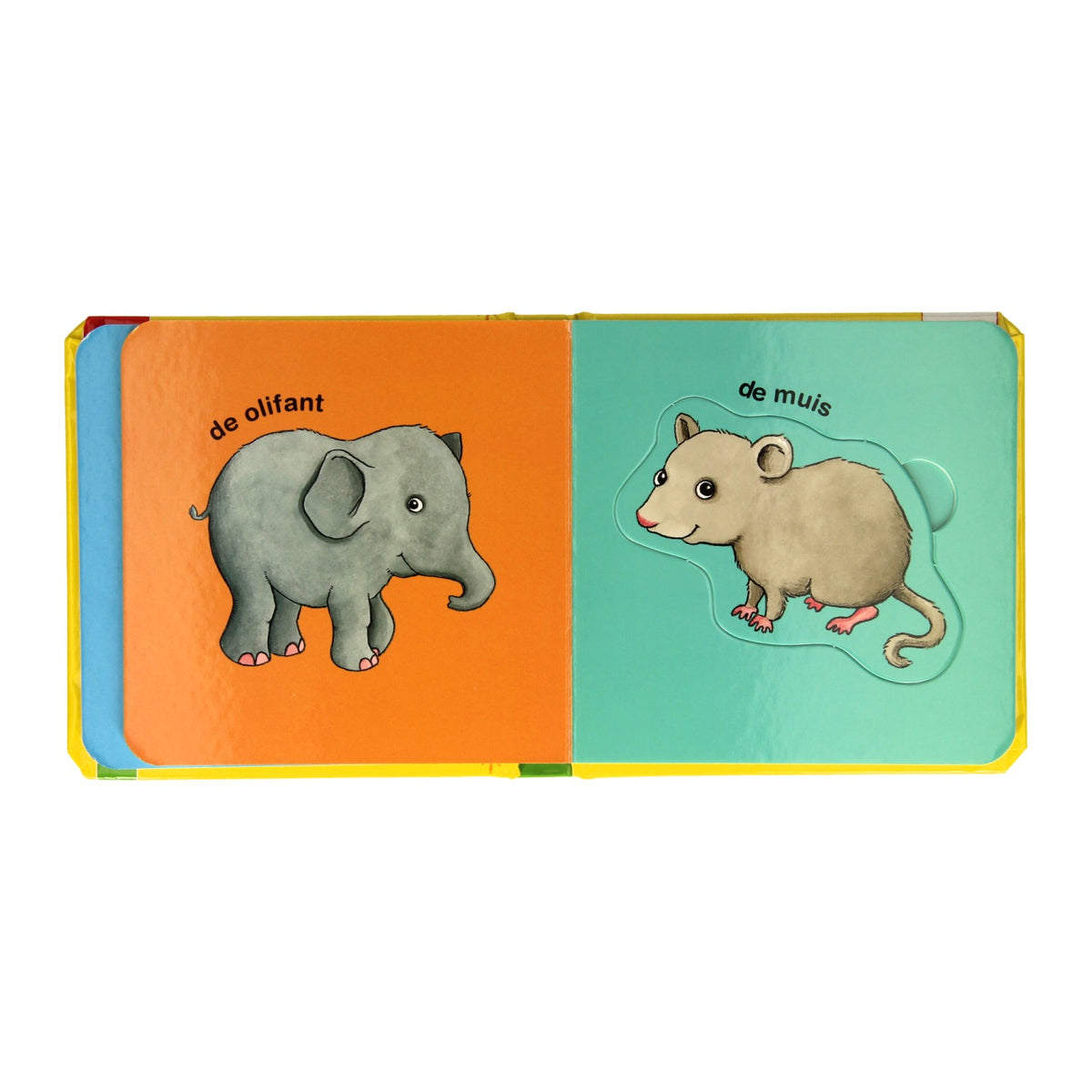 Gewinnt Holland meine Puzzle -Broschüre die liebsten Tiere