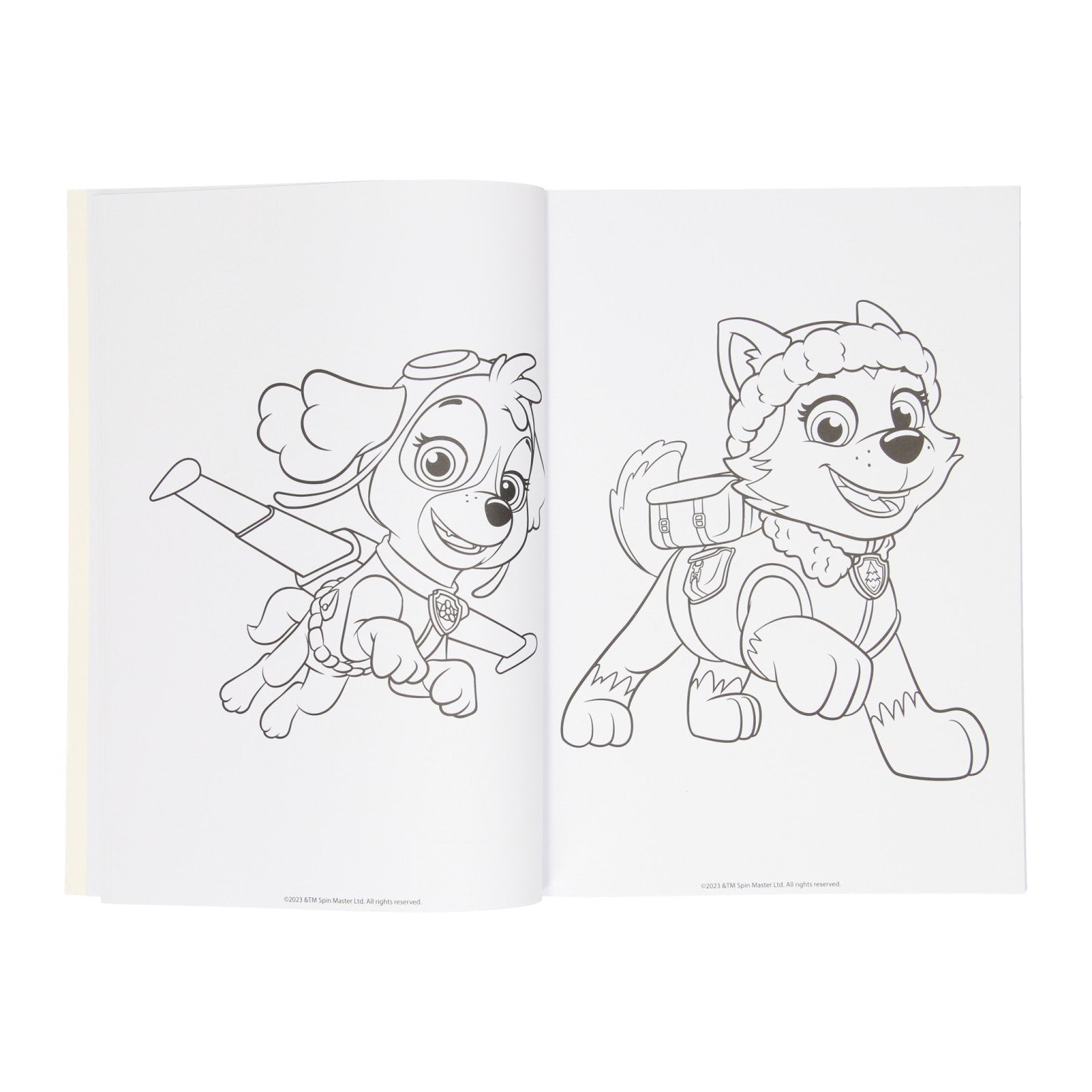 Gewinnt Holland Colorbook Paw Patrol, 128 PBLZ.
