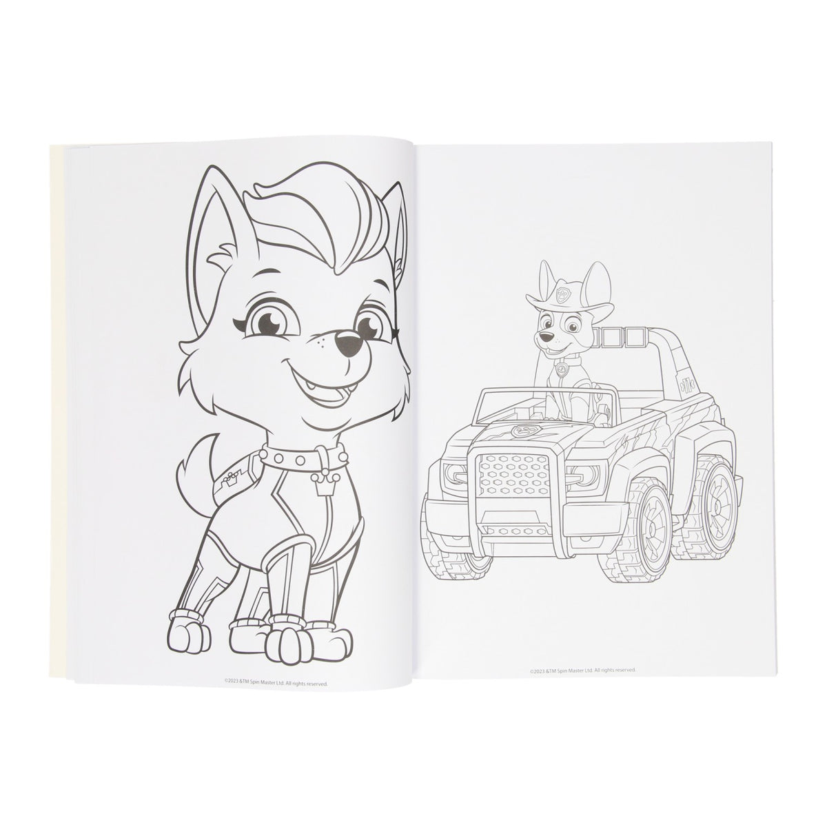 Gewinnt Holland Colorbook Paw Patrol, 128 PBLZ.