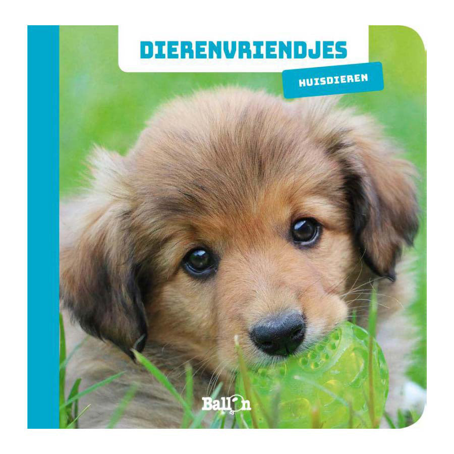 Gewinnt das Brettbuch „Haustiere“ von Holland Animal Friends