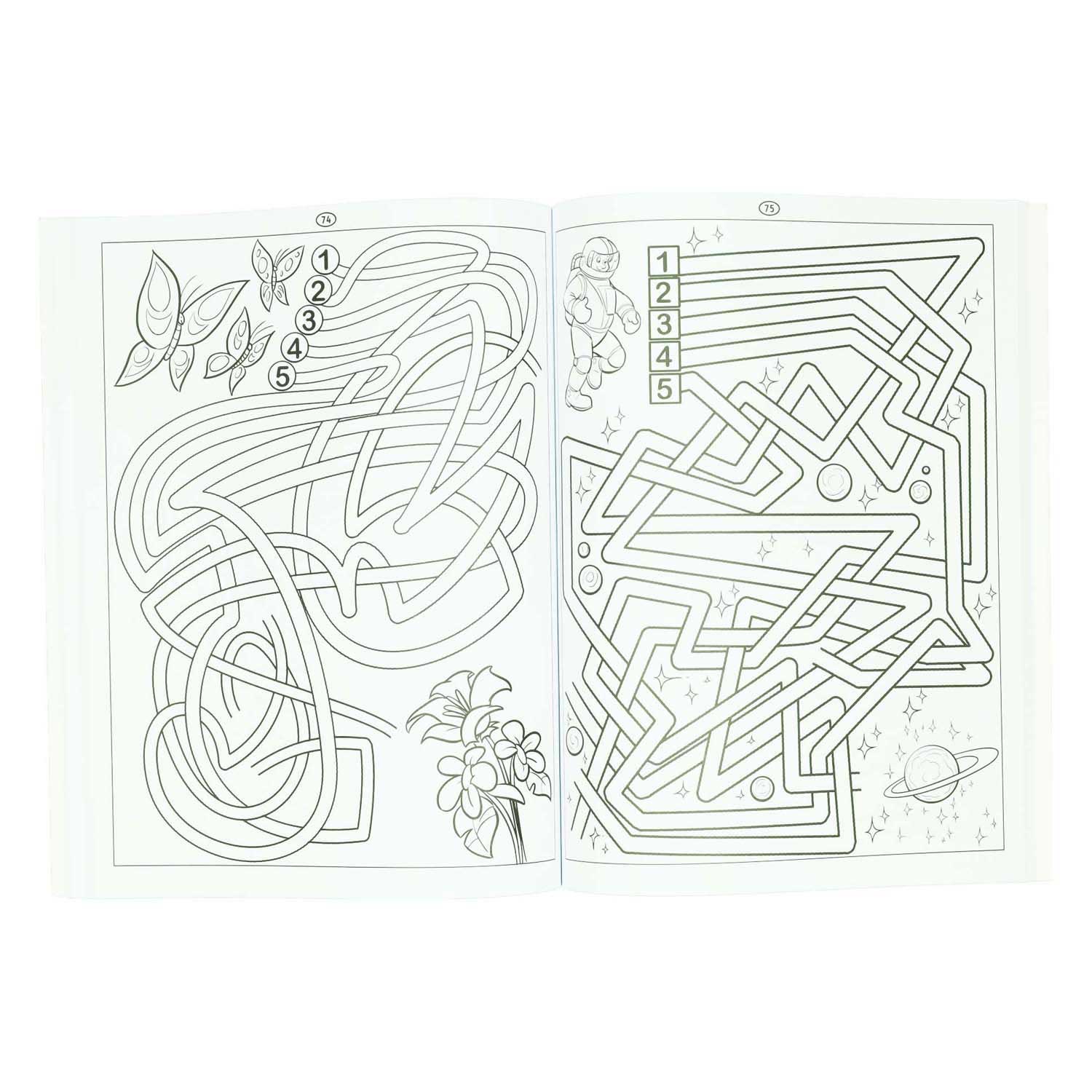Gewinnt das Holland-Labyrinth-Buch – 115 Labyrinthe