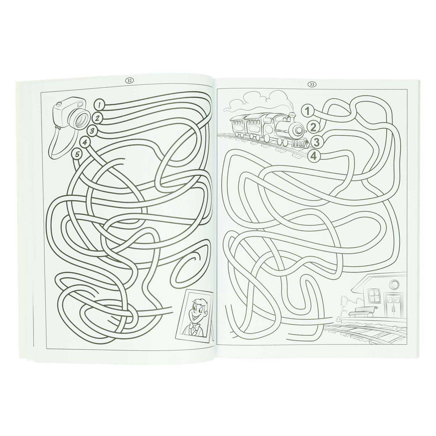 Gewinnt das Holland-Labyrinth-Buch – 115 Labyrinthe