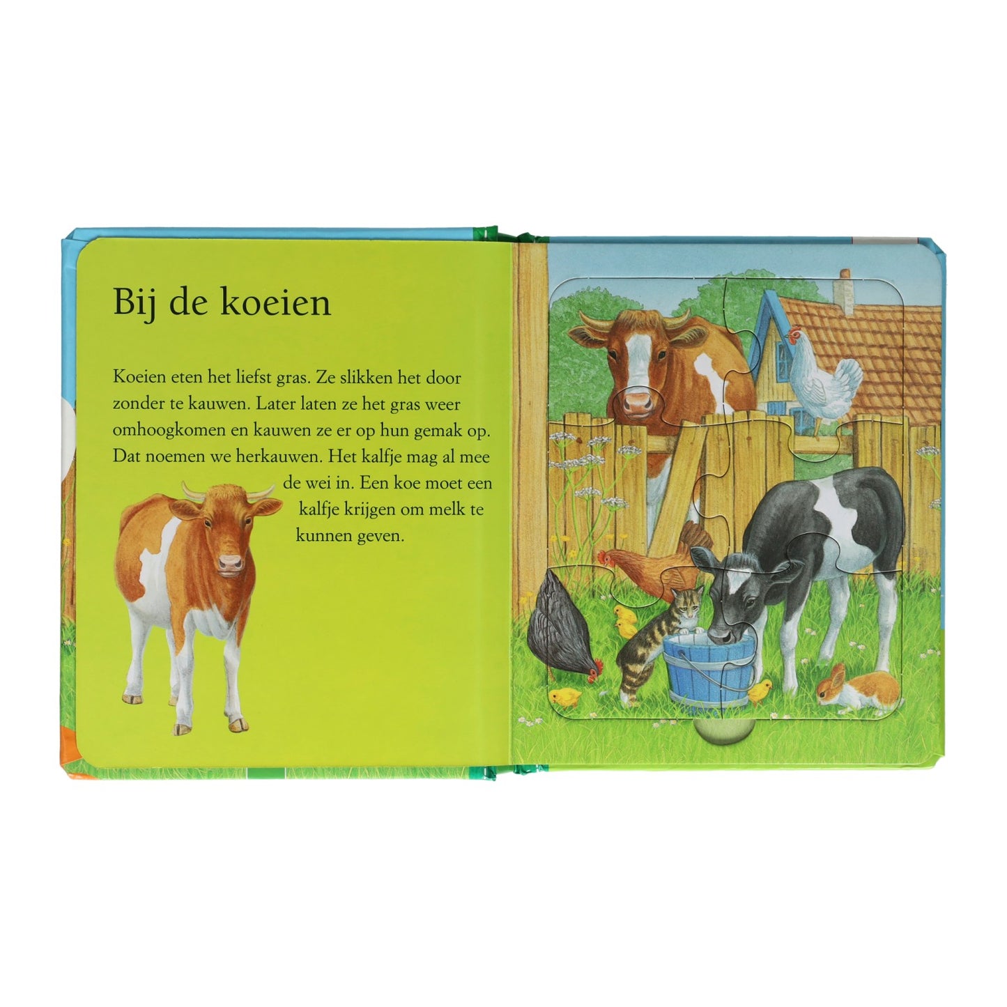 Gewinnt die Holland-Puzzle-Bücherfarm
