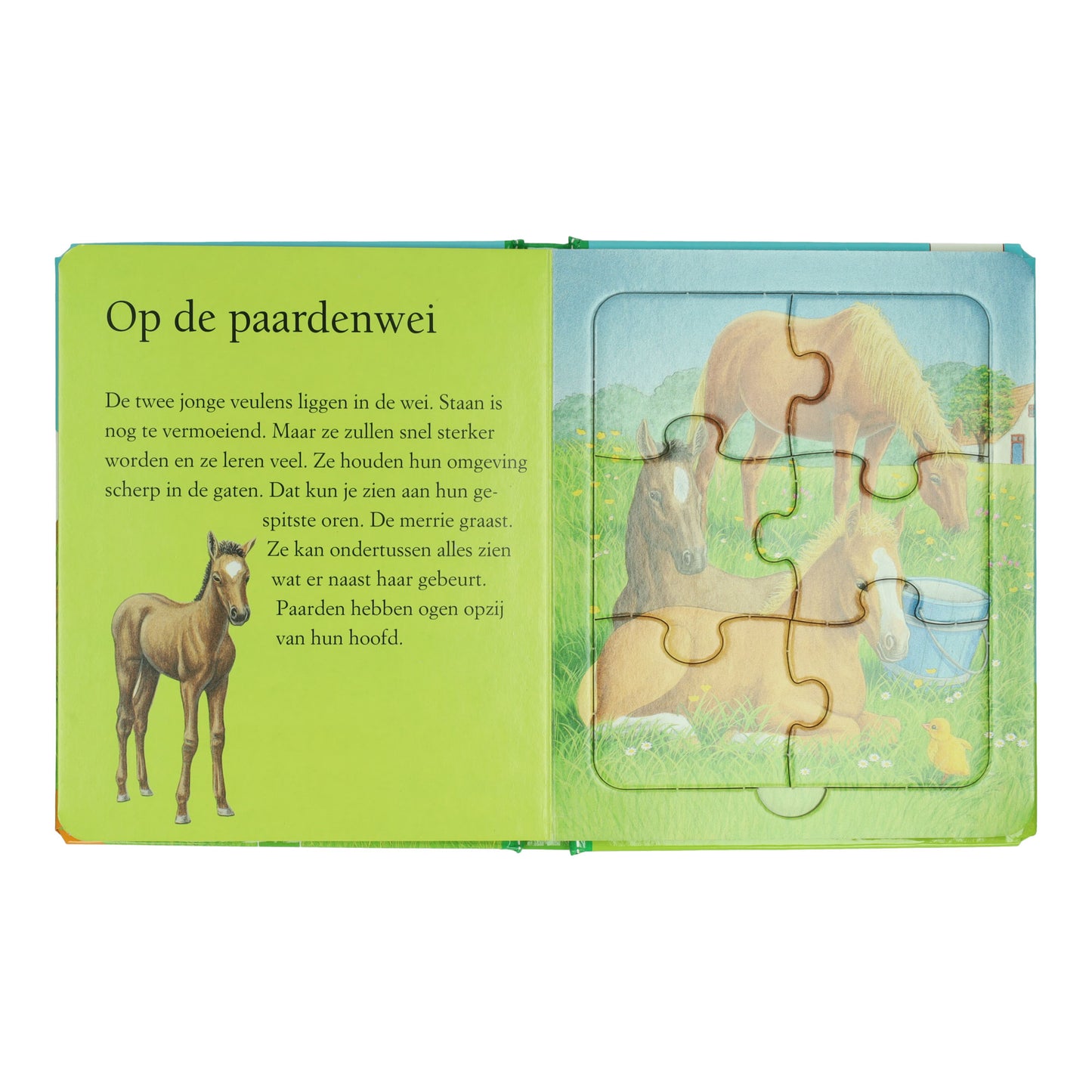 Gewinnt Holland Puzzle Book Farm – 5 Puzzles