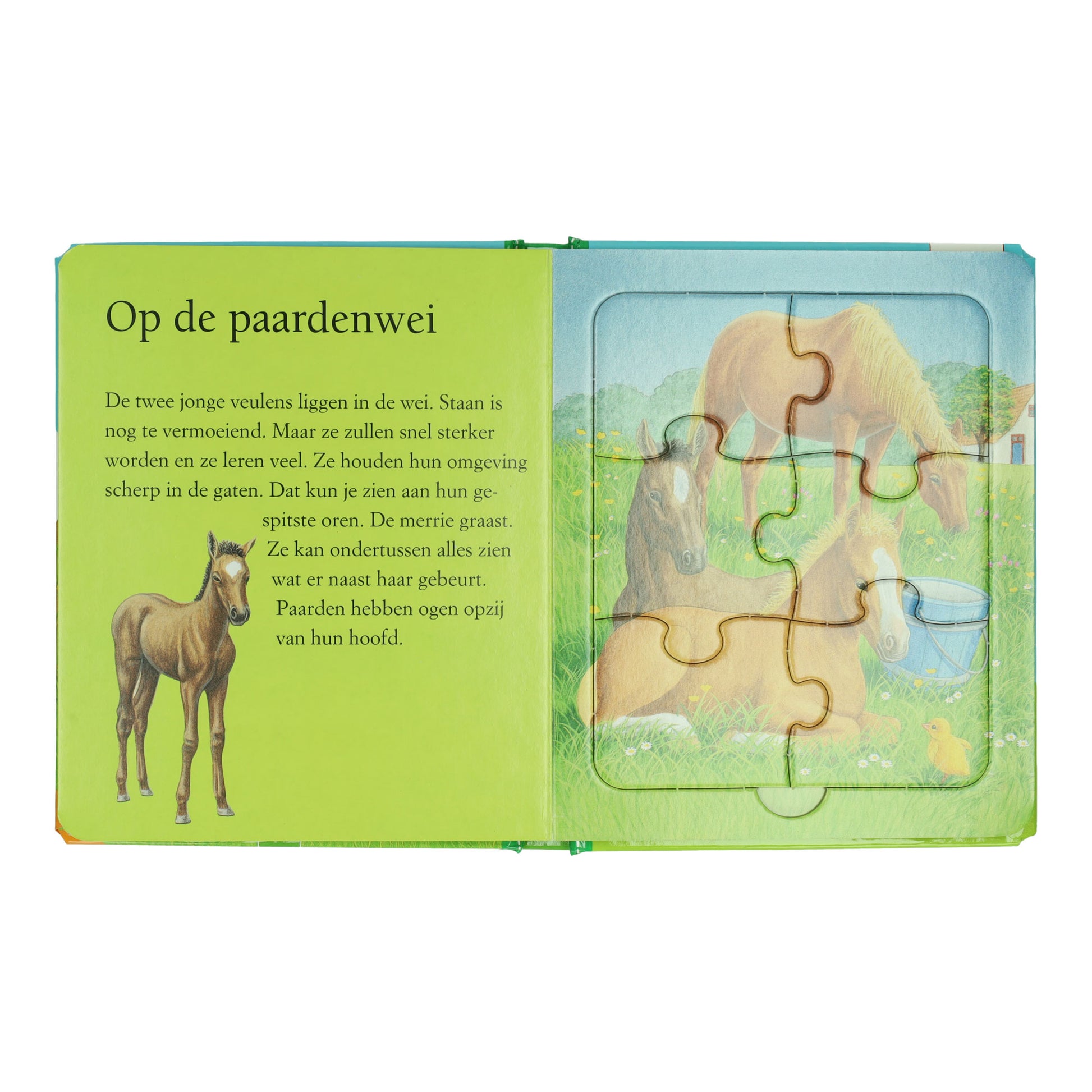 Gewinnt Holland Puzzle Book Farm – 5 Puzzles