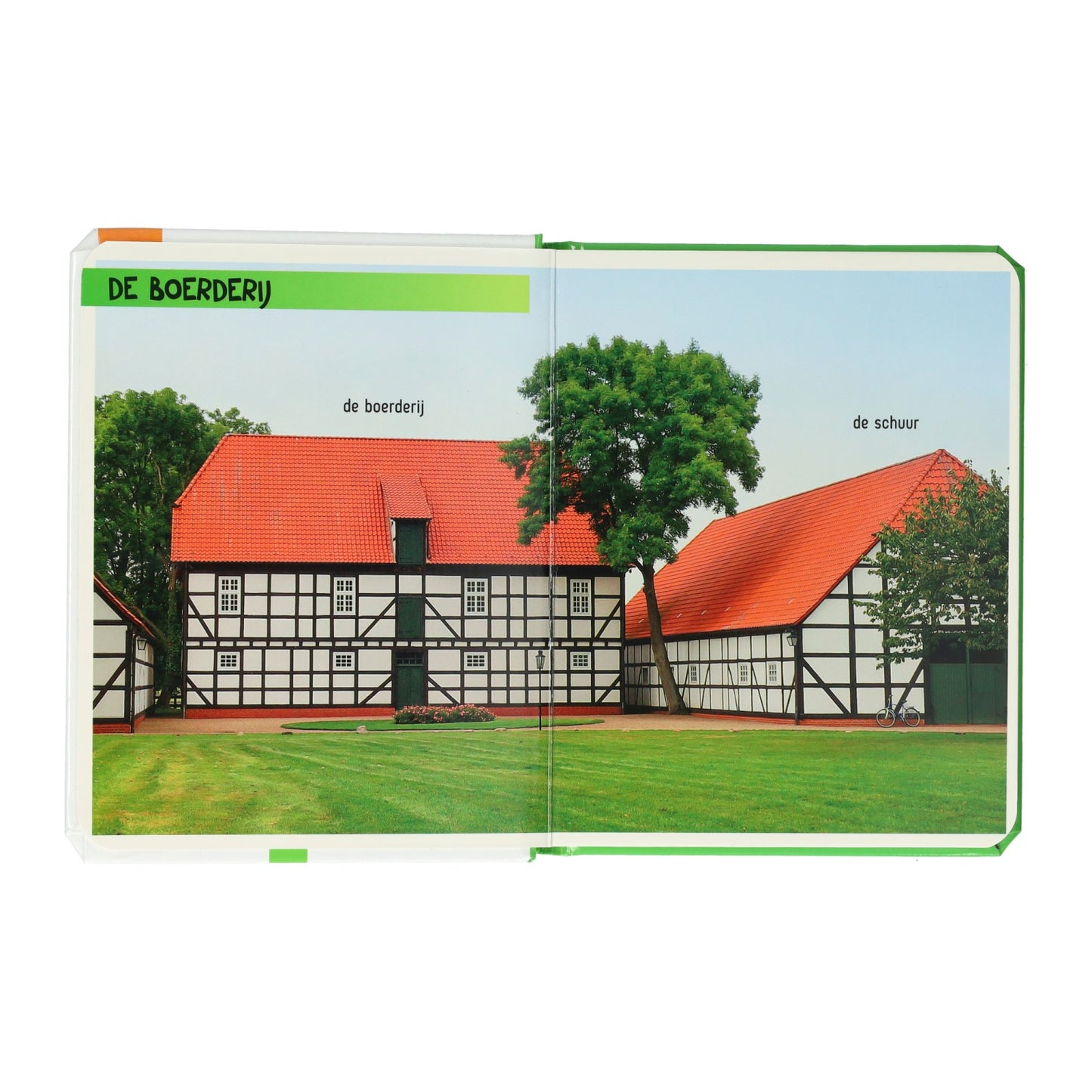 Siegt Holland, schauen Sie, was sehen Sie dort? der Bauernhof