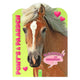 Wins Holland Malbuch für Kinder Ponys und Pferde, 96 Seiten