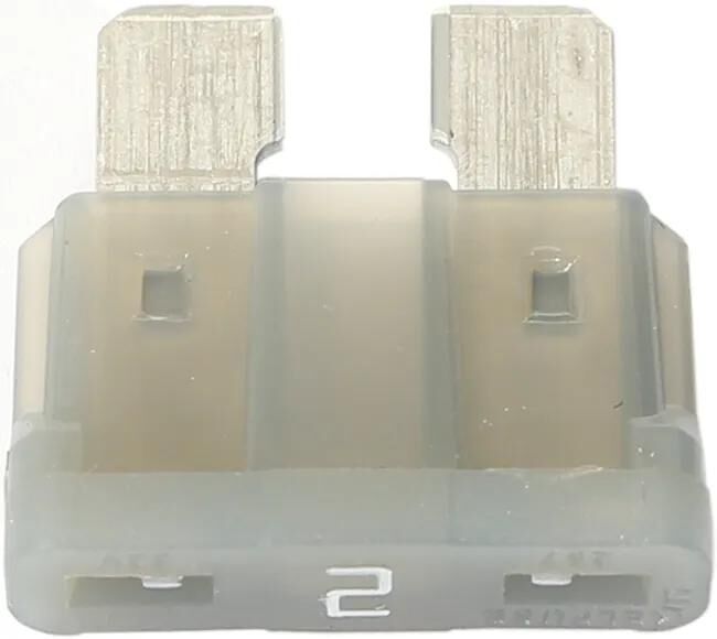 Corexx Blade -Sicherungen 2A Correx 50 PCs.