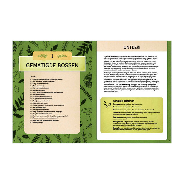 Rebo-Verlage entdecken die Natur – das Aktivitätsbuch