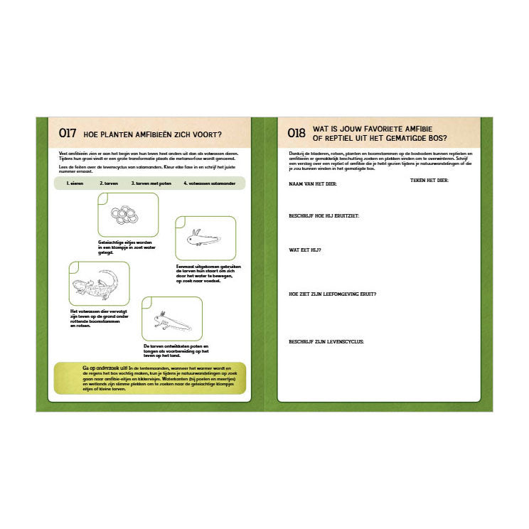 Rebo-Verlage entdecken die Natur – das Aktivitätsbuch