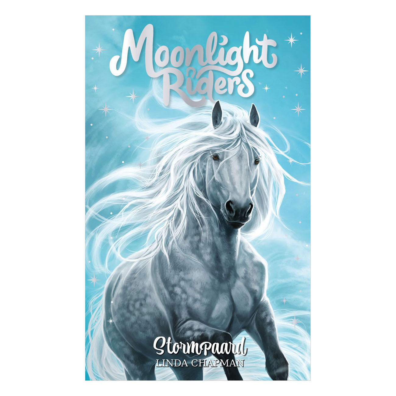 Rebo Publishers Moonlight Riders 2 – Storm Horse