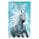 Rebo Publishers Moonlight Riders 2 – Storm Horse