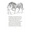 Rebo Publishers Moonlight Riders 2 – Storm Horse