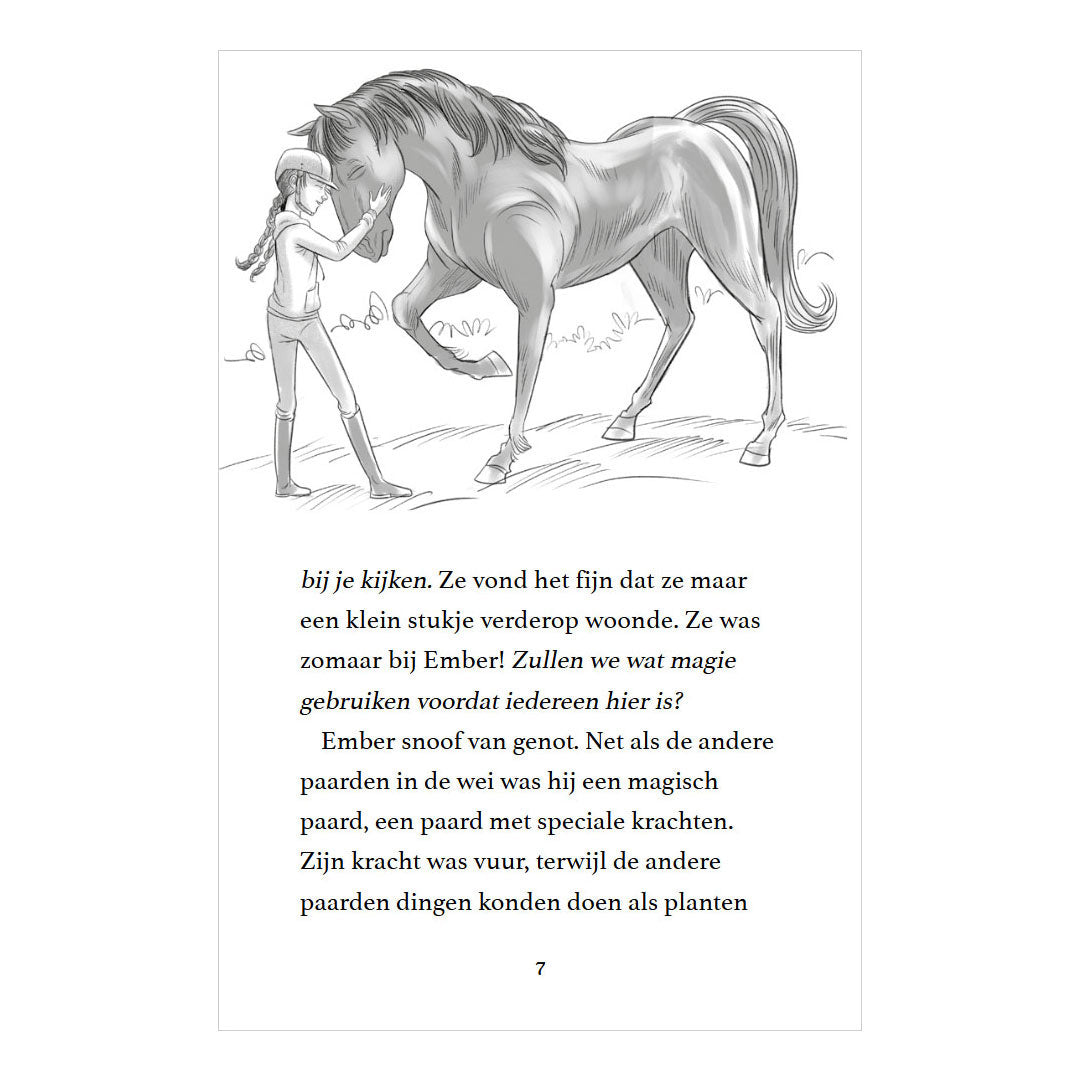 Rebo Publishers Moonlight Riders 2 – Storm Horse