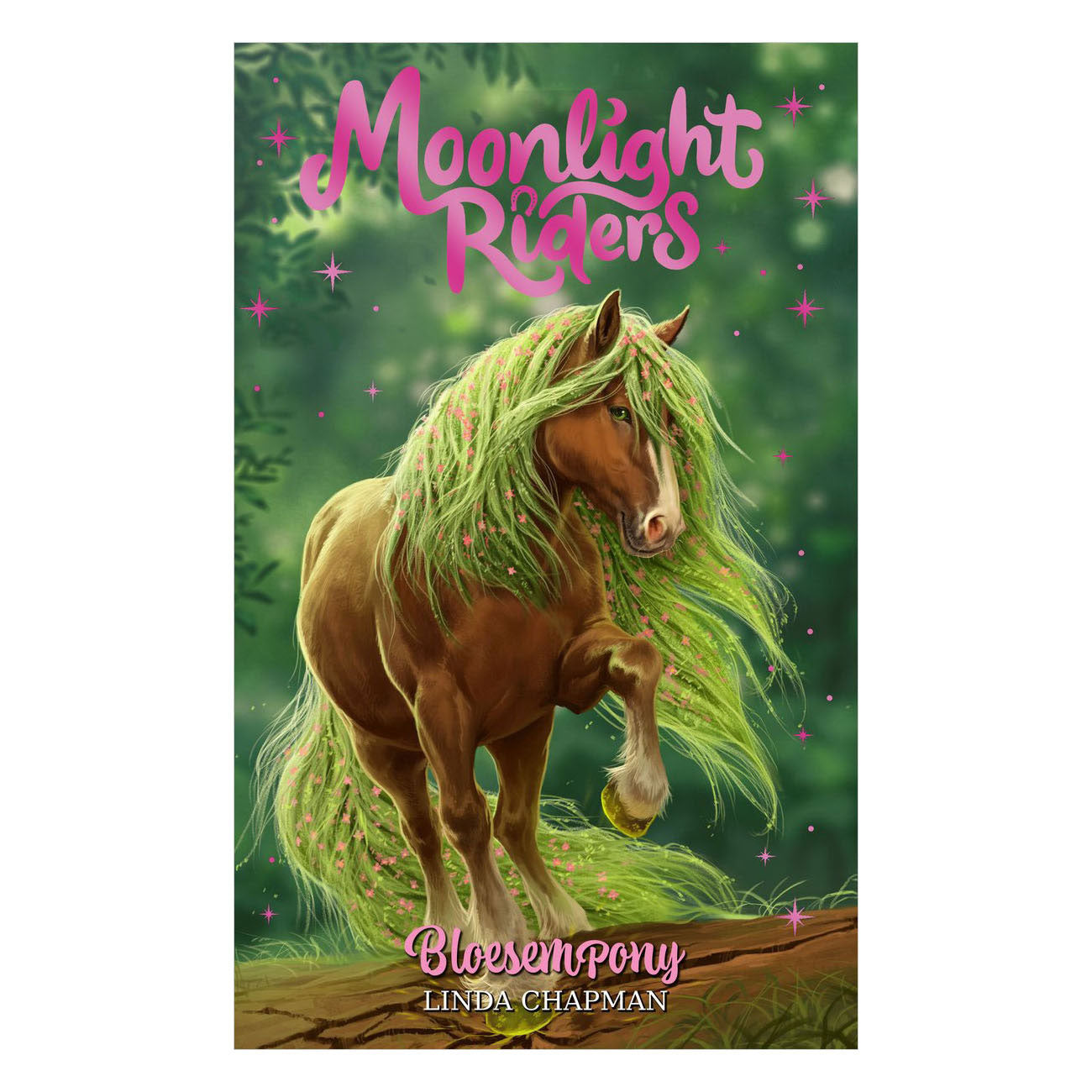 Rebo Publishers Moonlight Riders 3 – Blütenpony