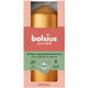 Bolsius Stumpenkerze 120 58 metallic goldorange | 6 Stück