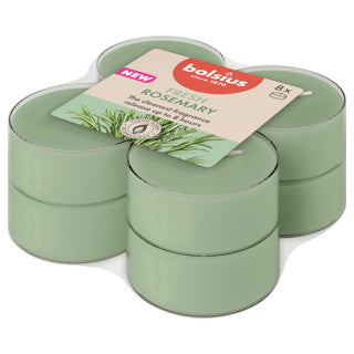 Bolsius Maxilights Clear Cup 8h echte Düfte Rosmarin | 6 Stück