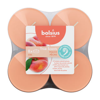 Maxililschen Clear Cup 8U True Scents Pfirsich Pfirsich
