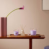 Giftset Teelights