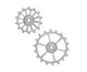 Sram Kugelumwerferräder Cross 14 18t Getriebe grau