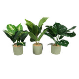Kunstpflanze im Zement Pot 40 cm 3 Assorti - afbeelding 1