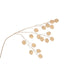 Art Branch Silber Dollar Oslo Gold 71 cm