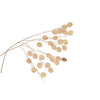Art Branch Silber Dollar Oslo Gold 71 cm