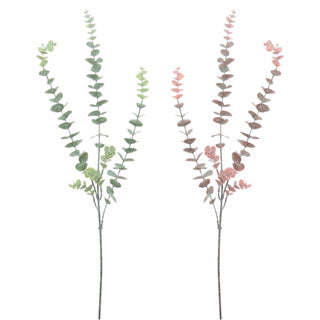 Kein Marken-Eukalyptusspray, L 78 cm | 12 Stück