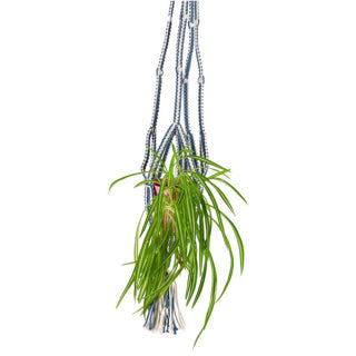 In der Stimmungssammlung Pot Halter Blue Makrame 110 cm